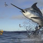 Fakta Menarik Ikan Marlin Kecepatan Berenang di Samudra