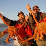 Fakta Unik Kepiting Alaska yang Katanya Paling Mahal di Restoran