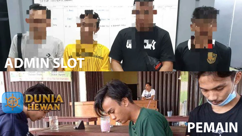 Admin Slot di Sidang Bossnya di Karenakan Bocorkan Slot Gacor