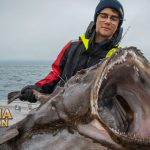 Fakta Menarik Ikan Lophius Terkenal Dengan Mulut Yang Besar