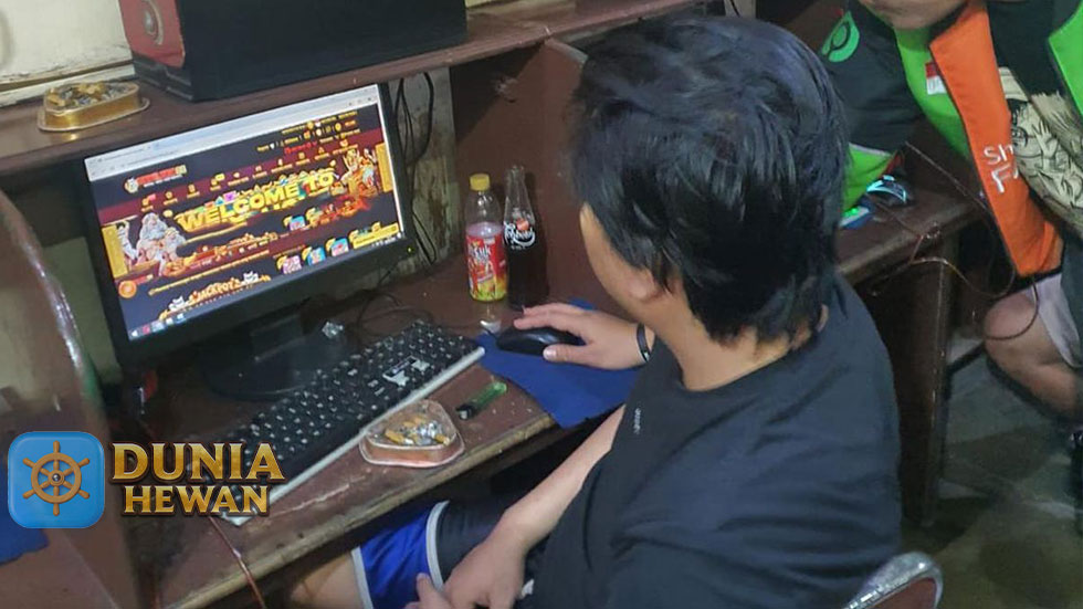 Permainan Slot Online di Warnet Sudah Banyak yang Akses