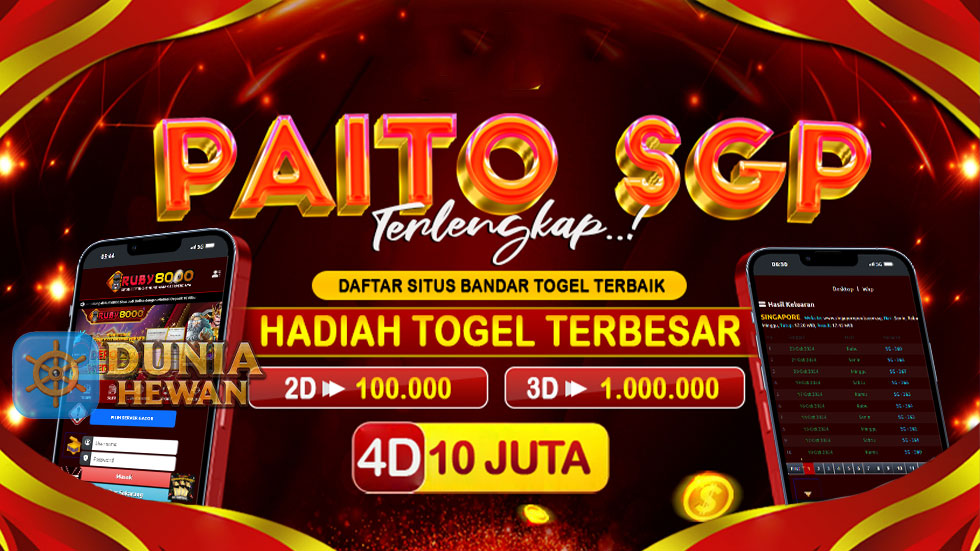 Prediksi Jitu dan Bocoran Angka Paito Warna Togel Singapore