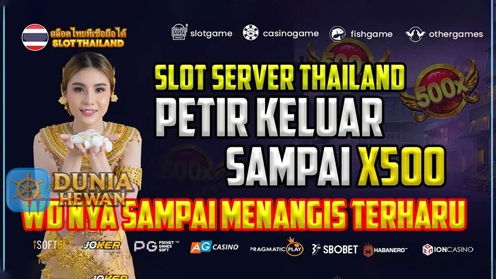 Cara Memaksimalkan Pengalaman Bermain di Slot Server Thailand