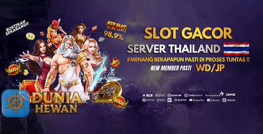 Cara Memaksimalkan Pengalaman Bermain di Slot Server Thailand