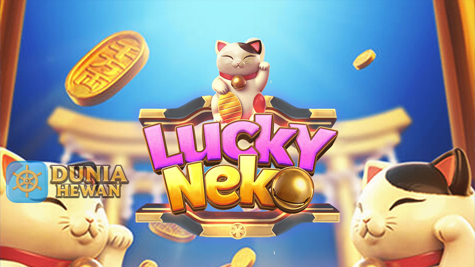 Permainan Lucky Neko Menjadi Game Top 5 Dari 6 Besar Pg Soft