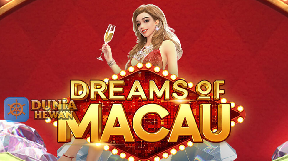 Strategi Bertahan Hidup di Turnamen Slot Dreams of Macau