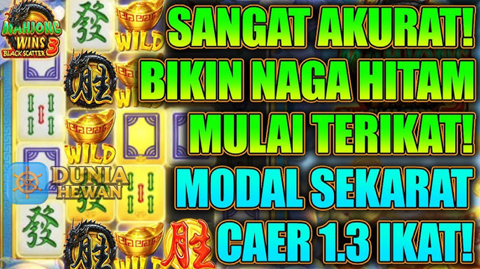 Tips Ampuh Memenangkan Permainan Mahjong Win di Pragmatic
