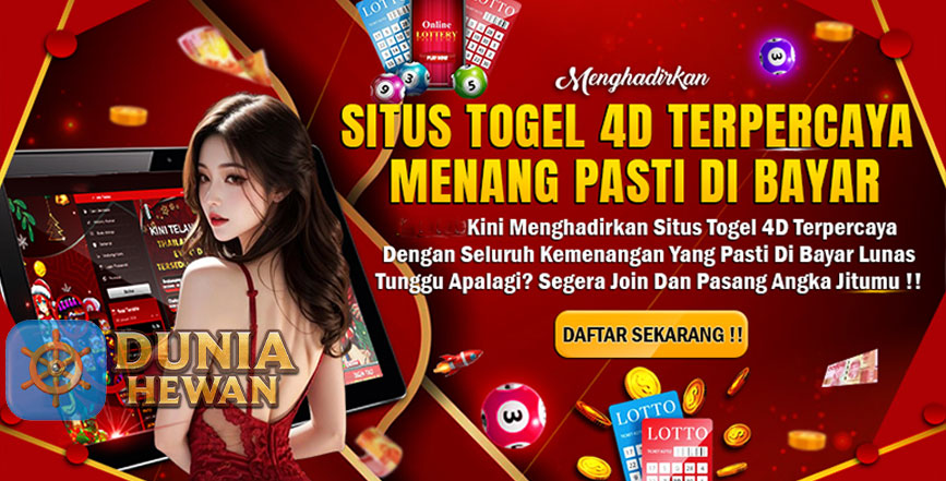 Menelusuri Angka: Data dan Hasil Togel Singapore Terbaru