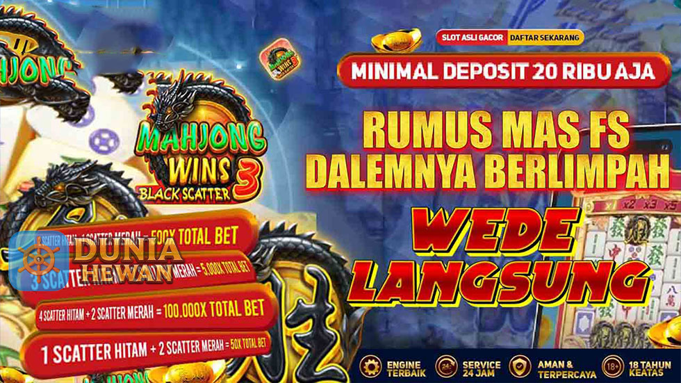 Mengelola Emosi di Meja Slot Scatter Hitam Situs Resmi Rtp8000