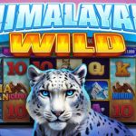 Panduan Pemula Memulai Petualangan di Slot Himalayan Wild