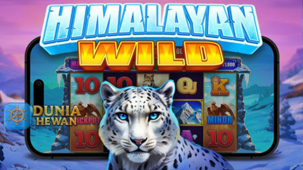Panduan Pemula Memulai Petualangan di Slot Himalayan Wild