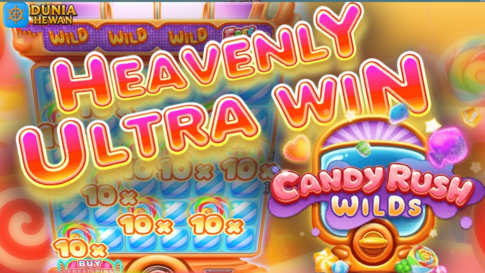 Tergila-gila dengan Candy Rush Wilds: Slot Manis yang Bikin Nagih