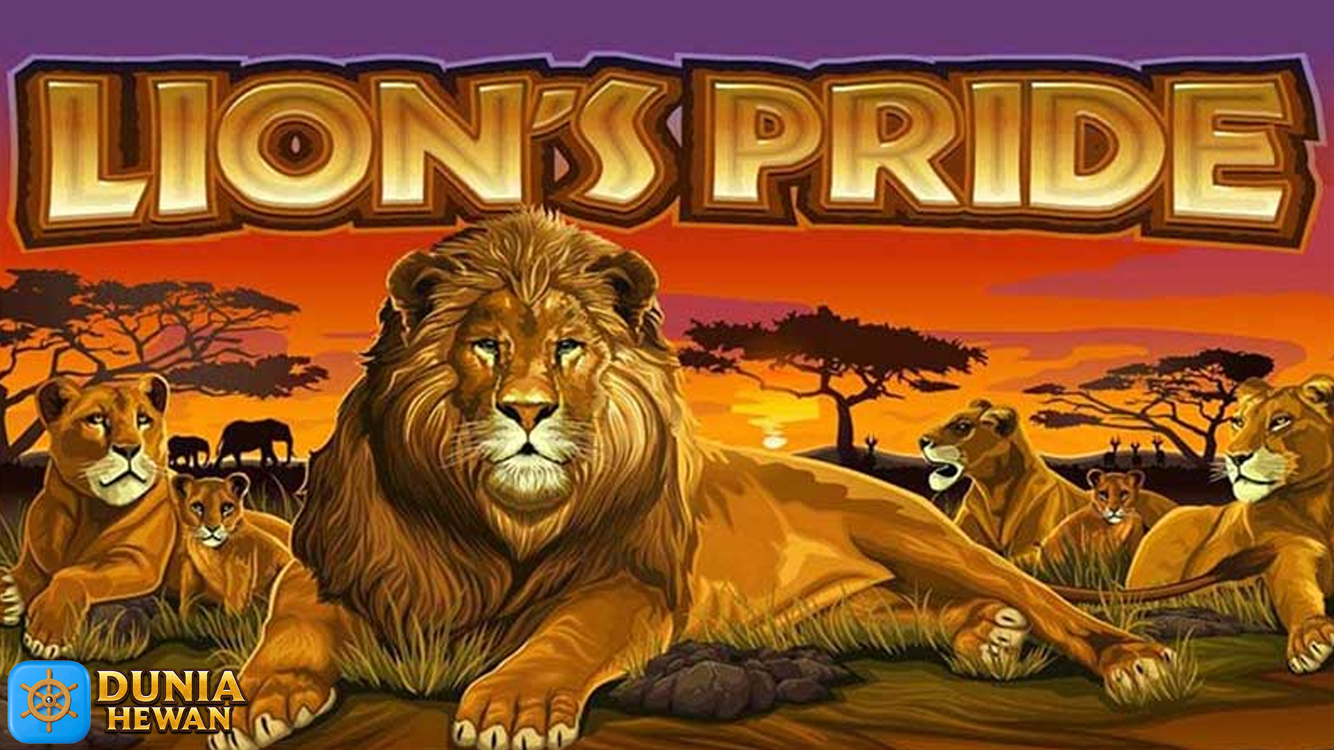 Ingin Mencoba Slot Baru? Lions Pride Bisa Jadi Pilihan Tepat