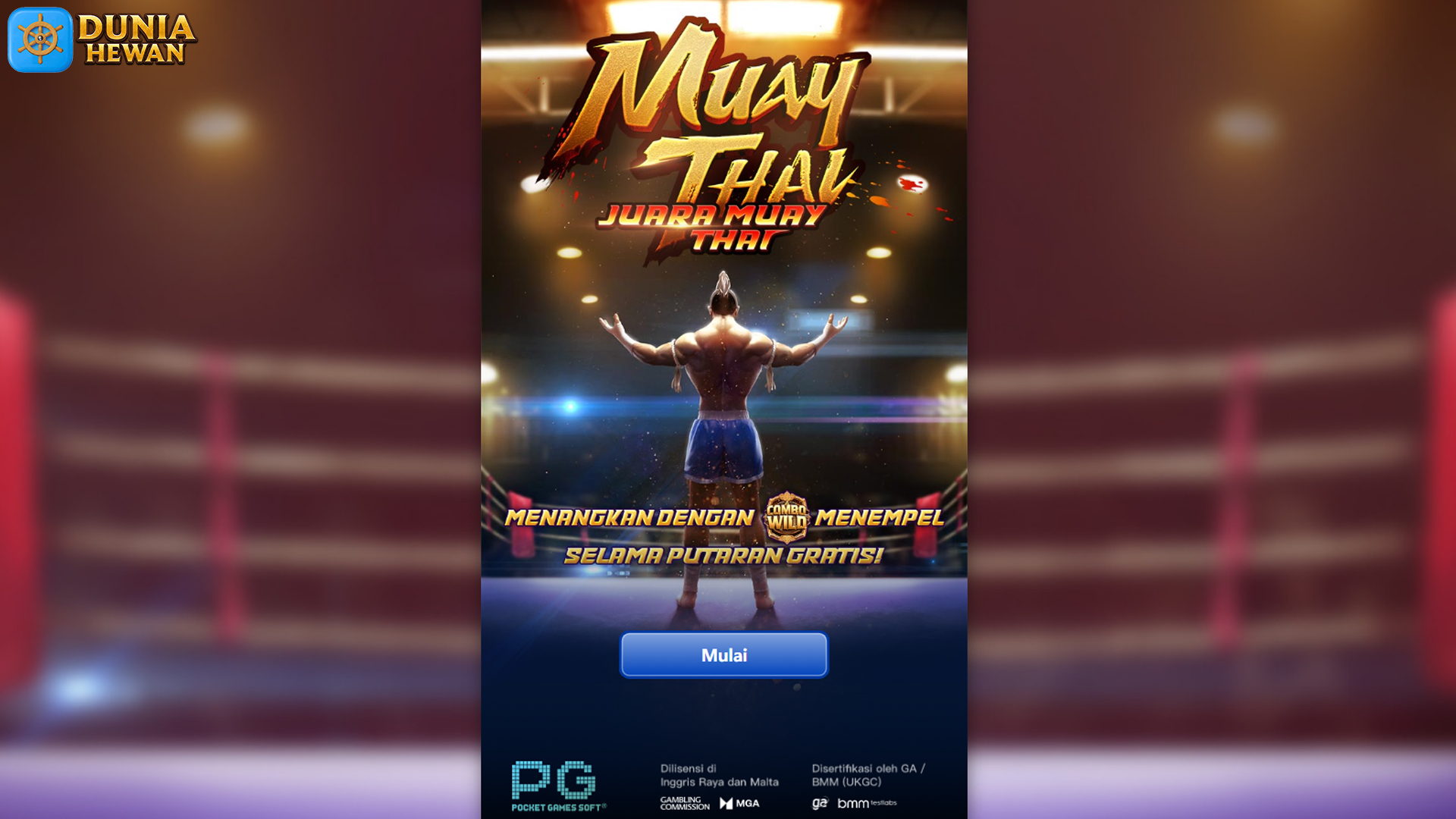 Rasakan Hype Muay Thai Champion di Situs Slot Server Thailand