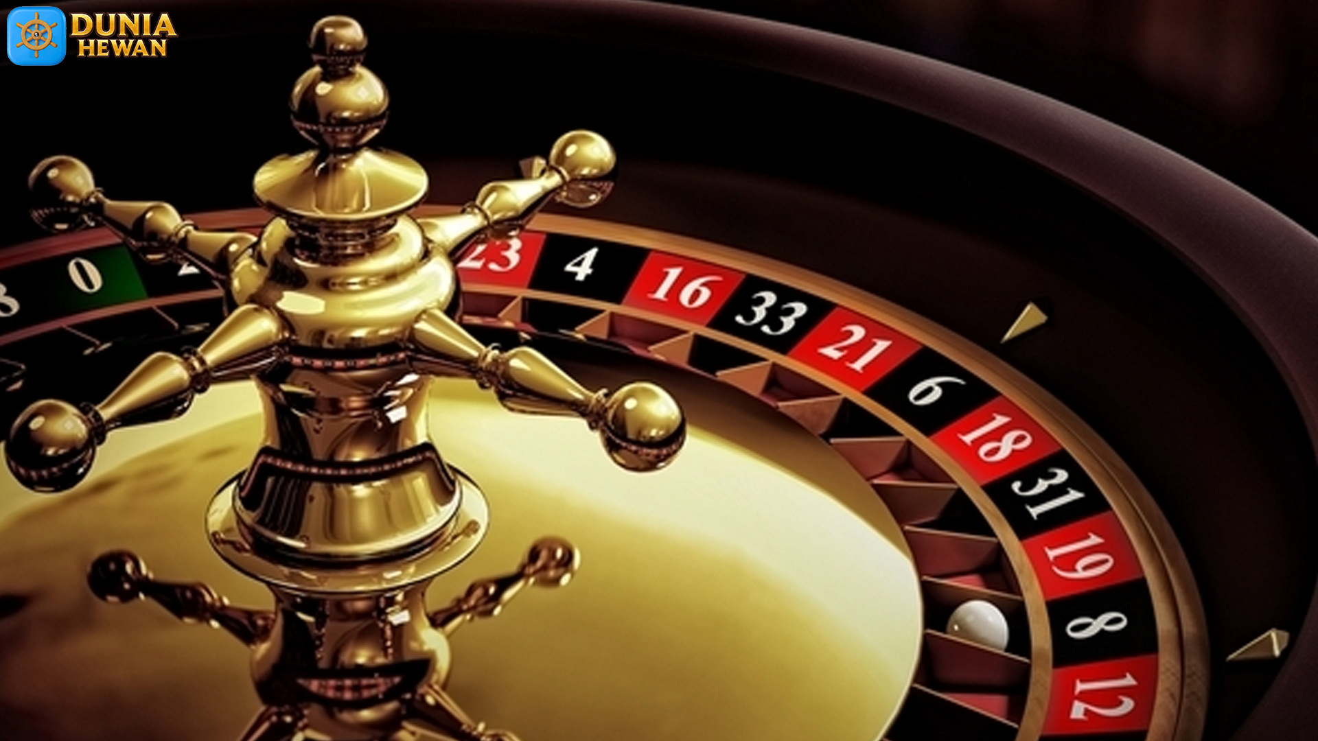 Gila Serunya! Soccer Roulette Bikin Deg-degan Tiap Putaran