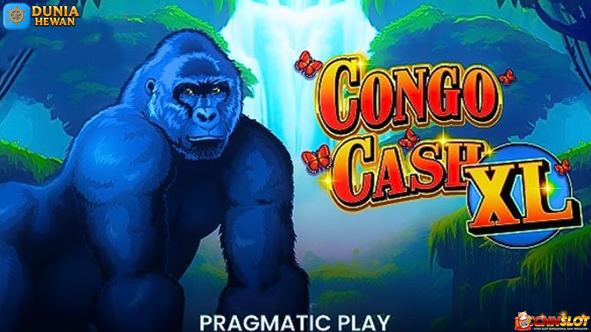 Slot Online Congo Cash XL Makin Hoki Usai Daftar Cnnslot