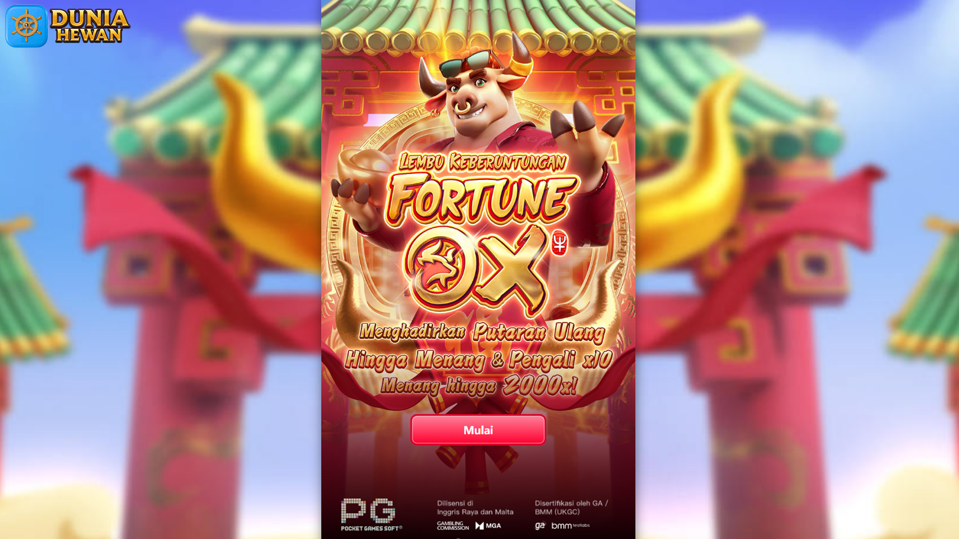 Ruby 8000 Buka Gerbang Kemenangan Besar di Fortune Ox