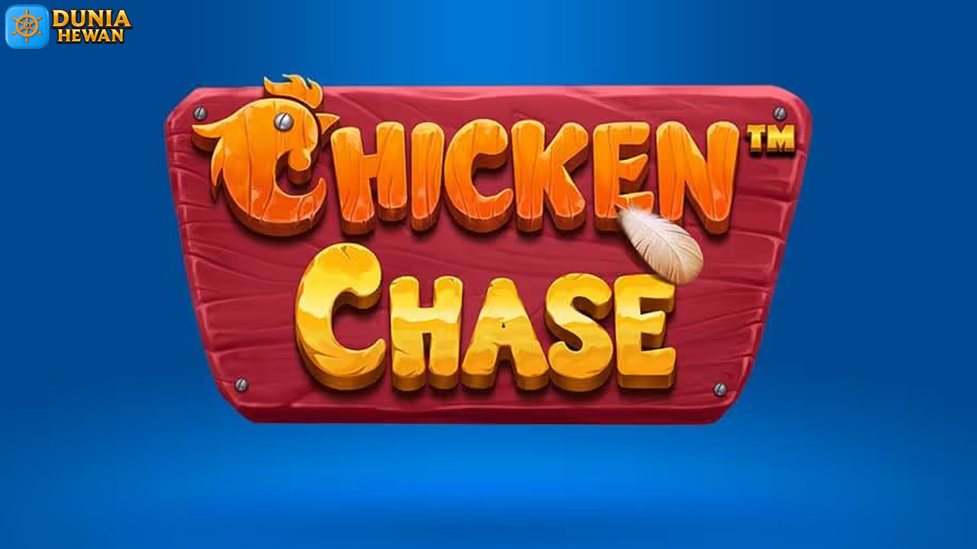 Chicken Chase Bahas 3 Hal Penting dari Volatilitas Hingga Rtp