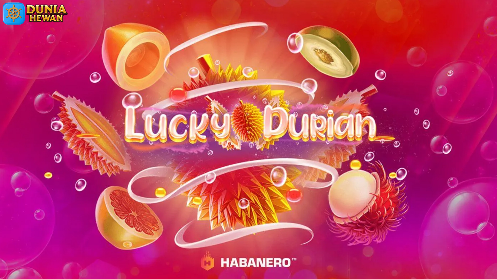 Lucky Durian Memiliki 3 Tema yang Paling Banyak Dicari