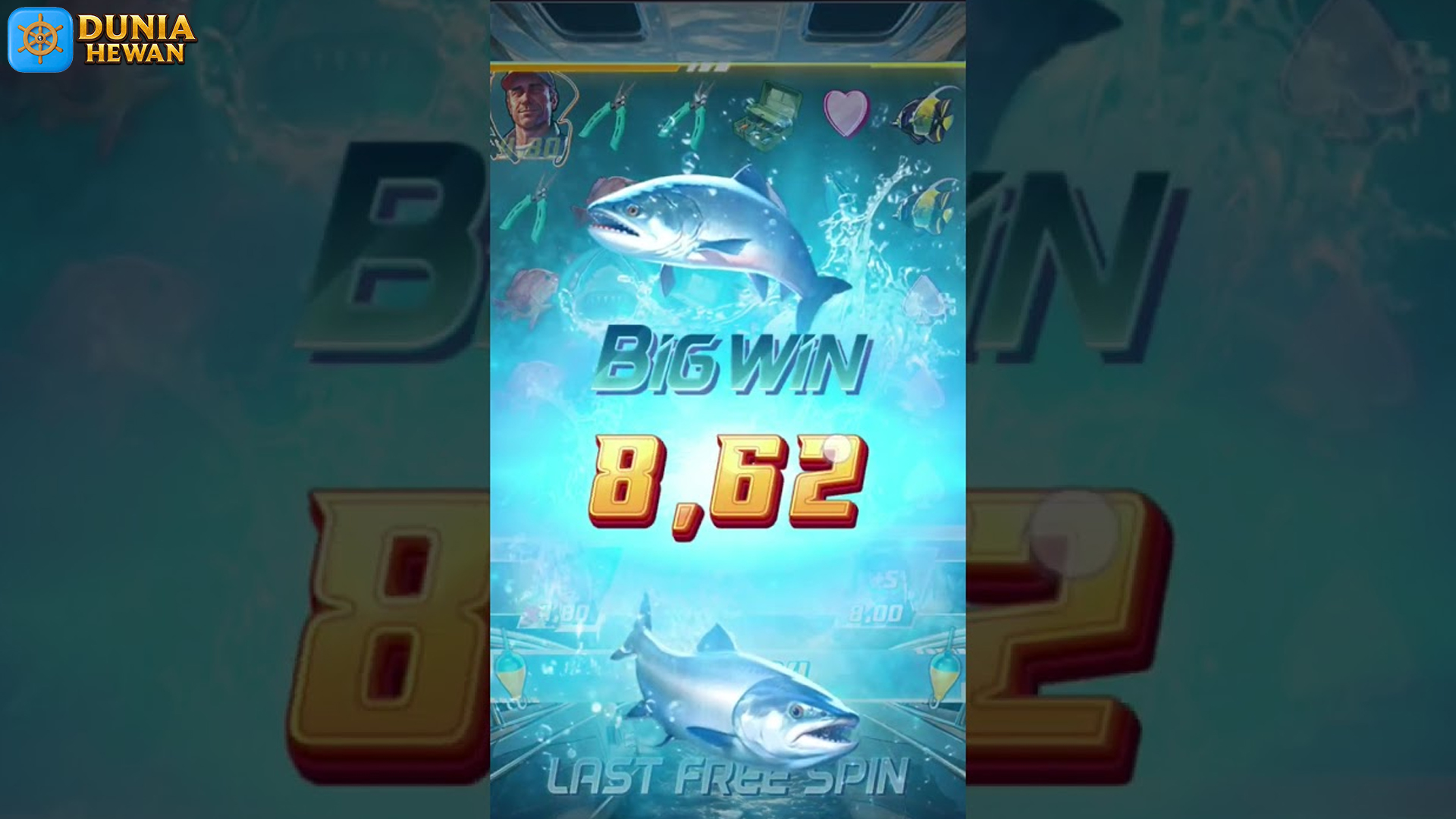 Apa Saja 5 Rahasia Di Balik Sistem Rtp Slot Shark Bounty