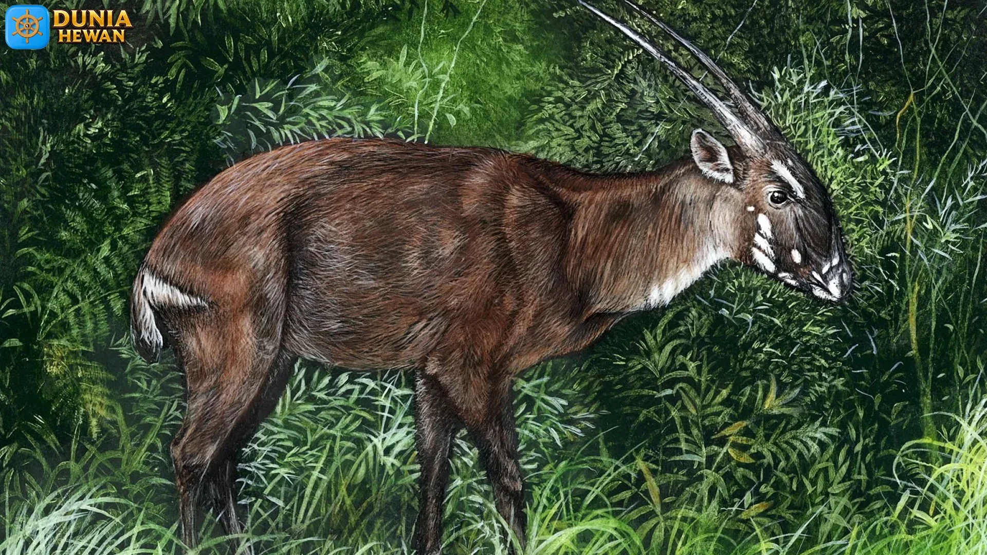 Saola: 5 Alasan Mengapa Hewan Ini Menarik Sangat Untuk Dipelajari
