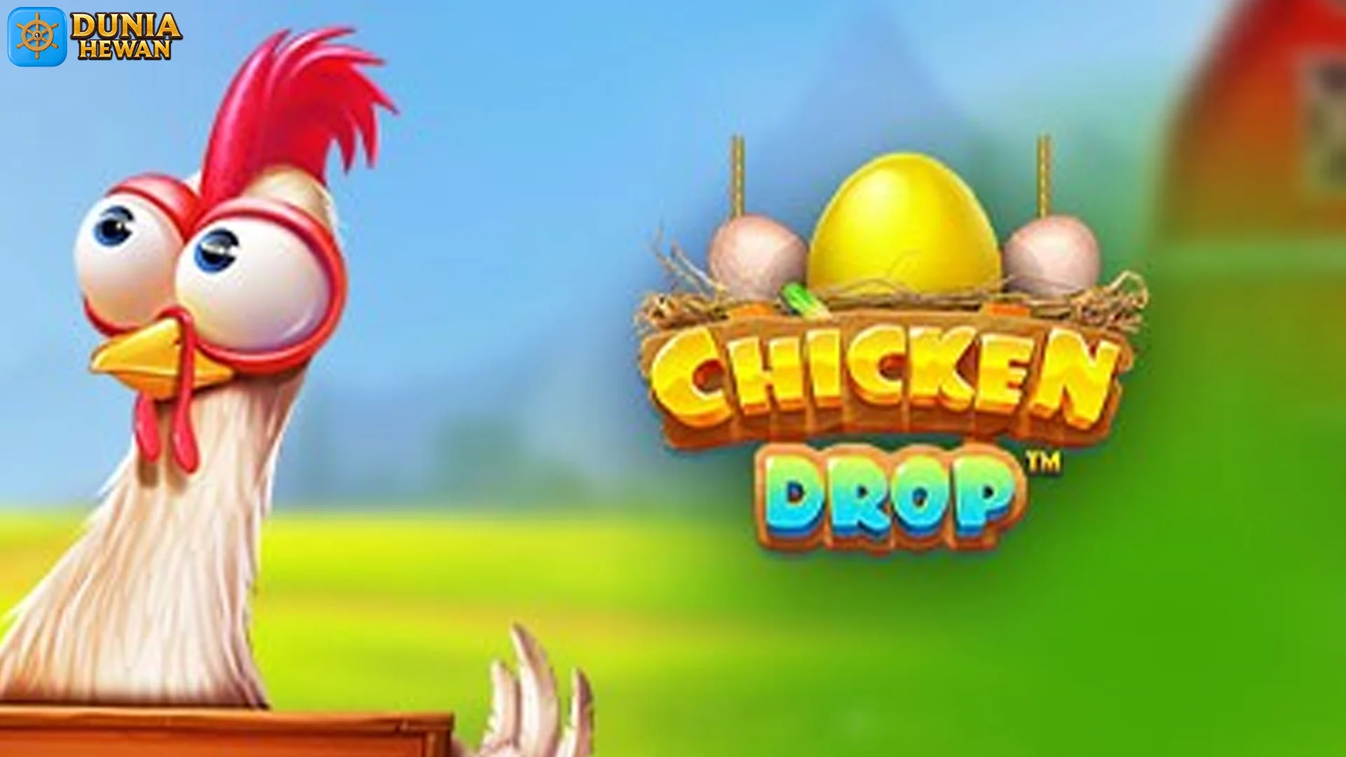 Viralin Deh 5 Spot Baru di Chicken Drop yang Bikin Fyp TikTok