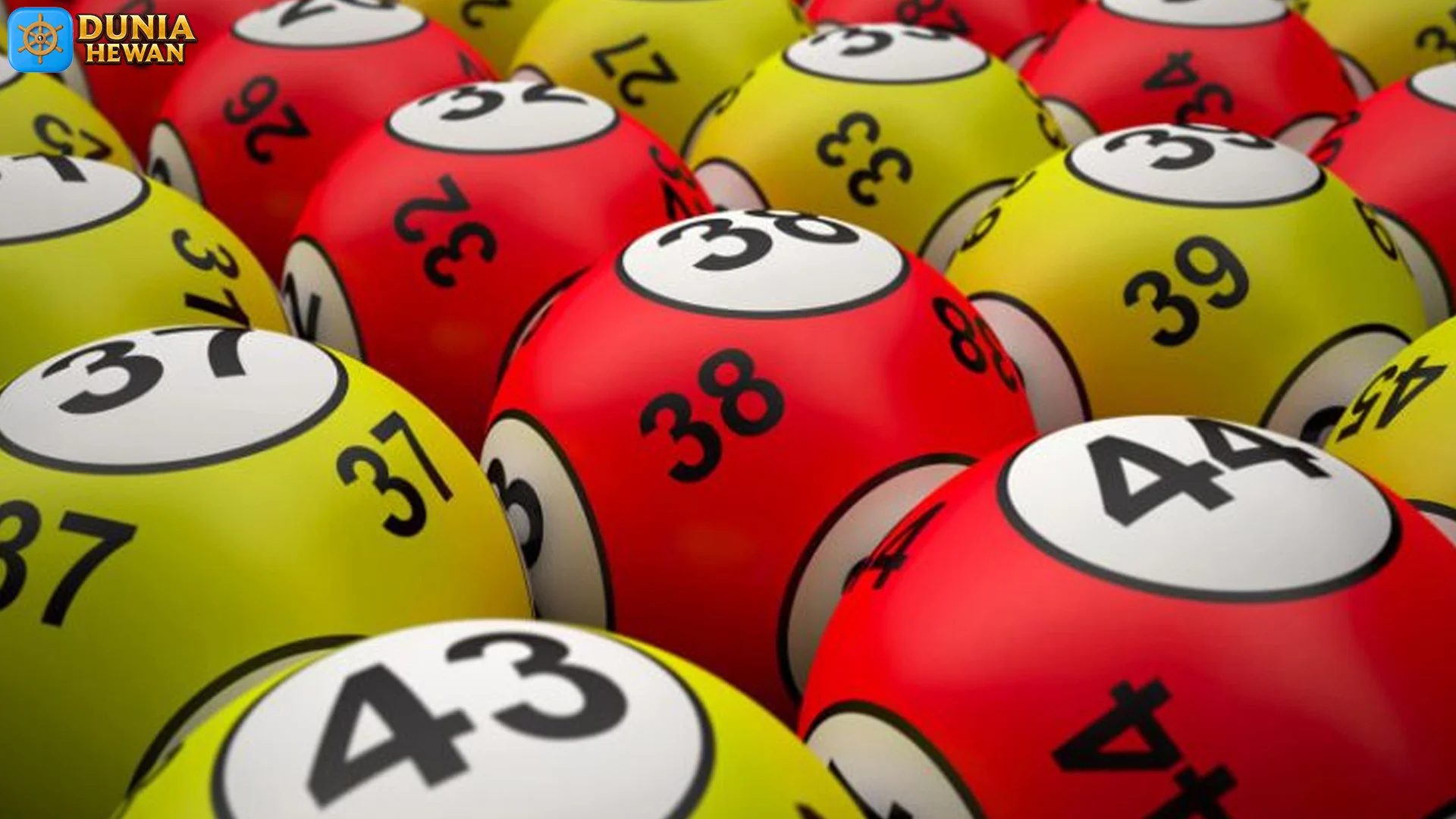 Perkembangan Togel Online: 5 Angka yang Jadi Fokus Penelitian