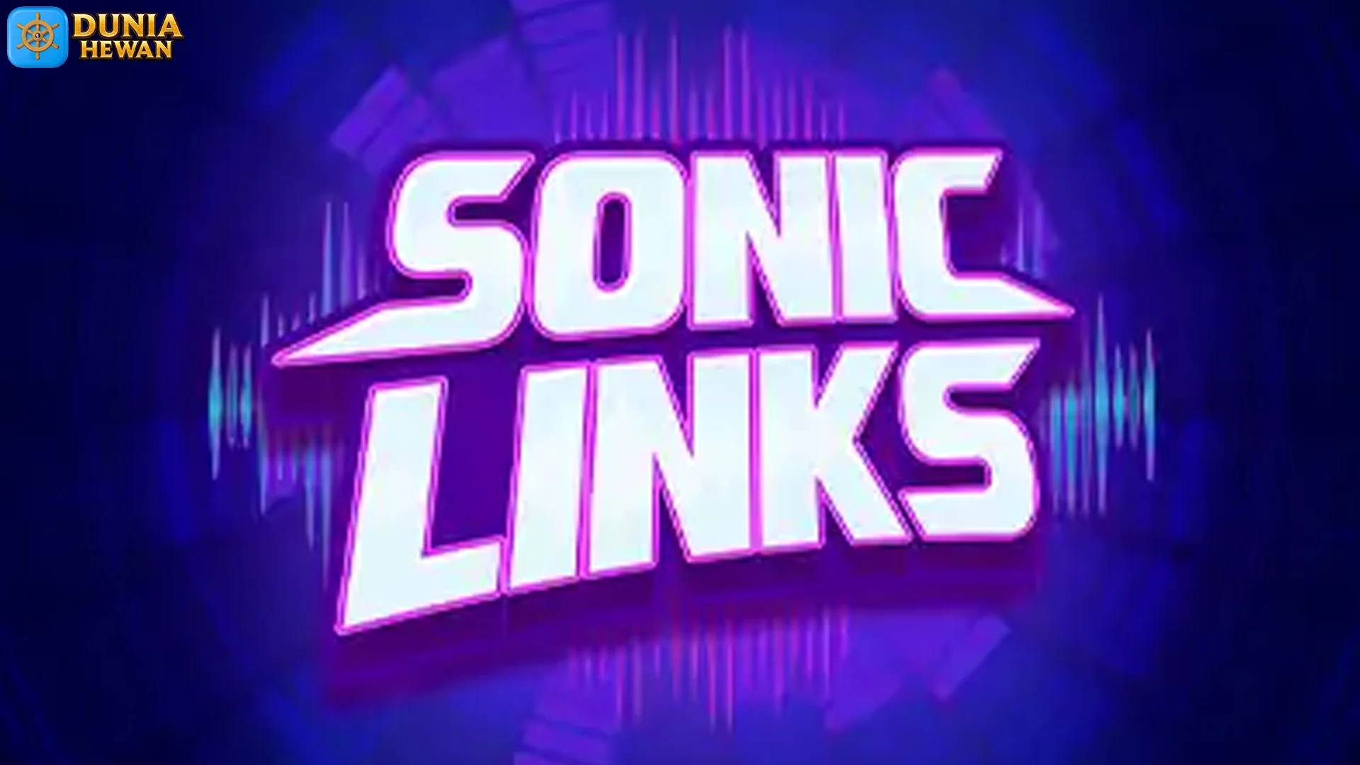 Buat Yang Baru Mulai, 5 Basic Sonic Link Yang Wajib Tahu Dulu