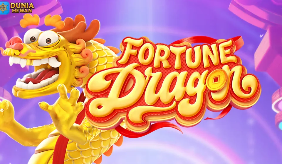 Baru Coba Langsung Candu, Fortune Dragon Gila Banget 100%