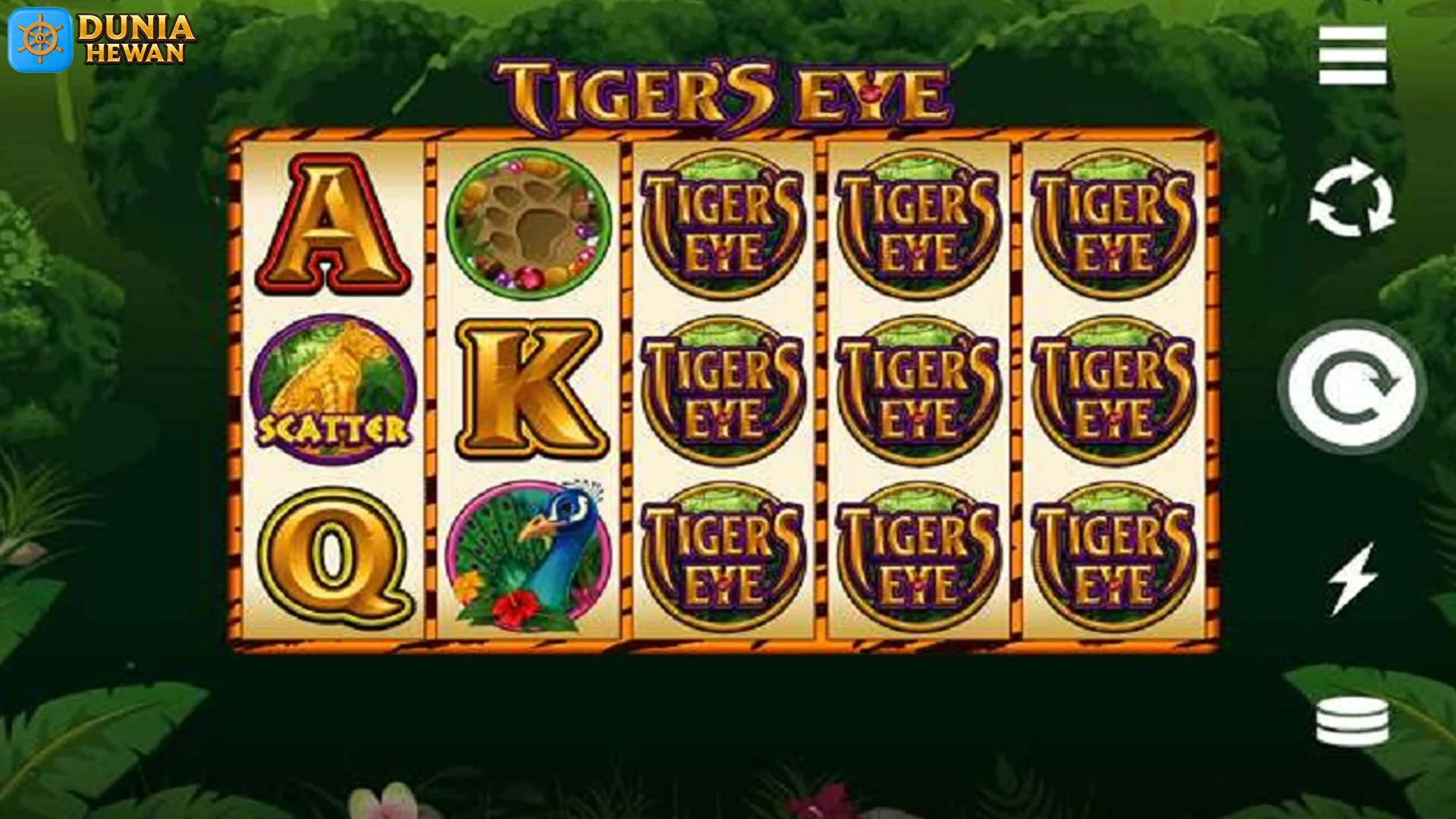 Bikin Merinding! 5 Keindahan Tiger's Eye yang Auto Jatuh Hati