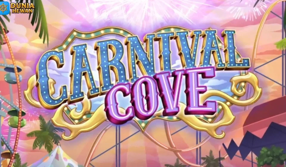 Carnival Cove Punya Secret Spot yang Gak Semua Orang Tau