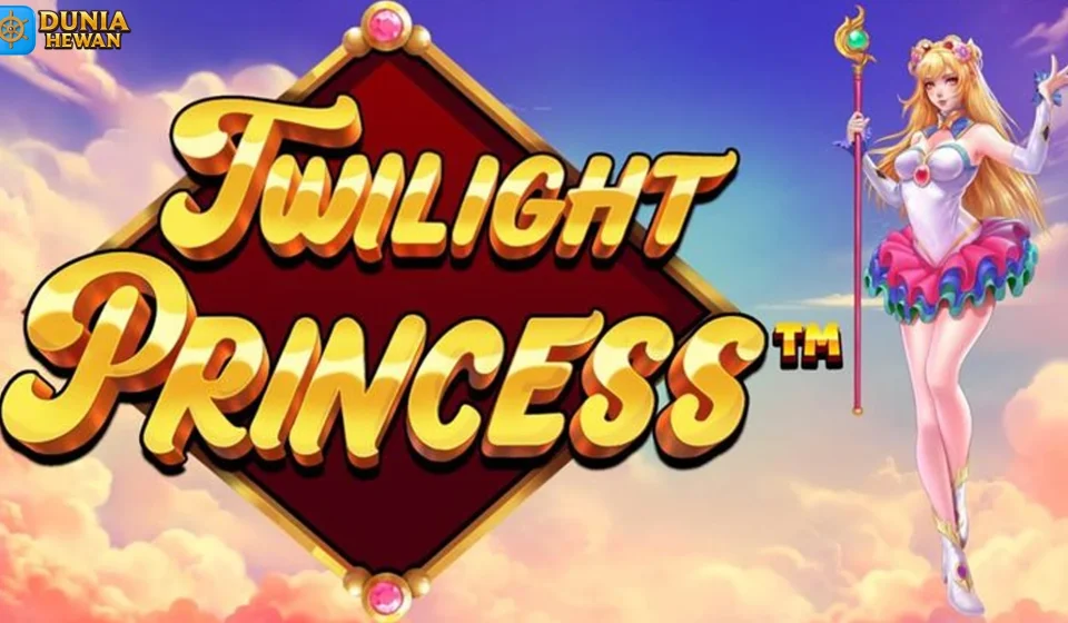 Misteri Area Tersembunyi di Twilight Princess yang Perlu Dieksplor