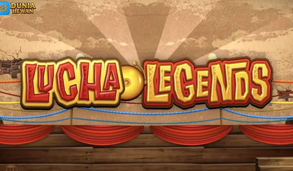 Insight Momen Paling Berkesan di Sejarah Lucha Legends
