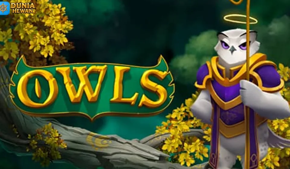 Owls Trend Paytable Burung Hantu RTP Tinggi Solid