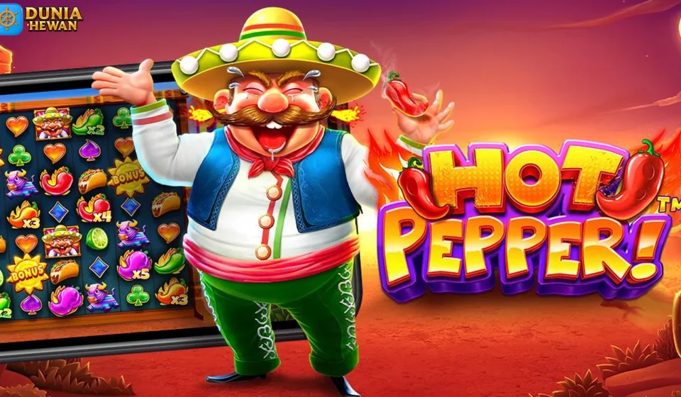 Ngeri Hot Pepper Mode Bikin Saldo Cepat Gendut